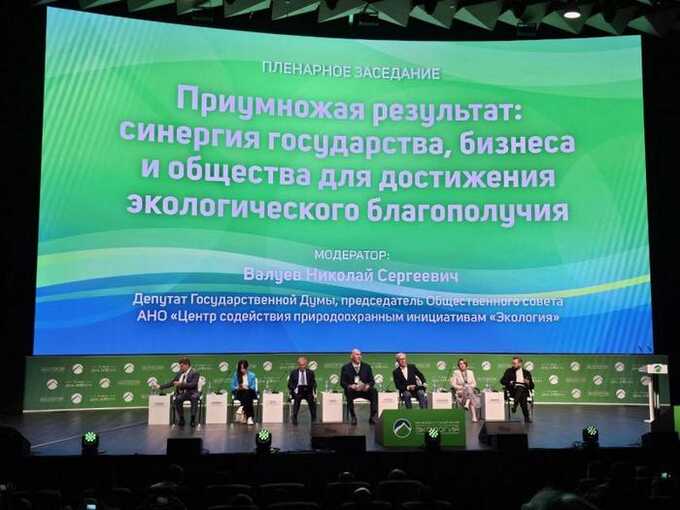 Штрафы, уголовные дела и очистка Енисея: какие меры предпринимаются в регионе для борьбы за экологию